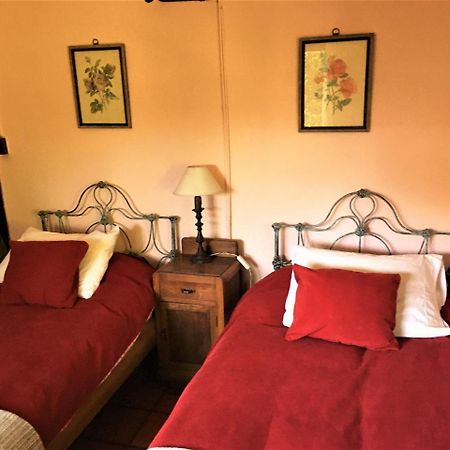 Lo De Lanny Villa Colonia del Sacramento Ngoại thất bức ảnh